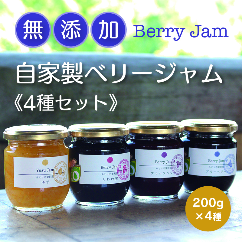 【21】Berry Jam