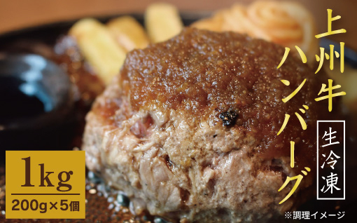 【193】 生冷凍 上州牛ハンバーグ 1kg（200g×5個）