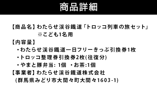 【49】わたらせ渓谷鐵道「トロッコ列車の旅セット」 ※こども１名用