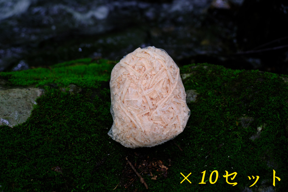 【大容量】森の恵みの芳香剤｜おがくずタイプ　(1ネット×10セット同梱)
