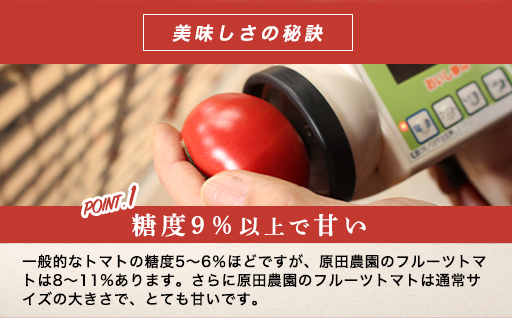 ãa010ããã«ãŒããããç³åéïŒMãµã€ãºïŒ1kgç®±15çæºæ¯è©°ãã2026幎3æã5æçºéå