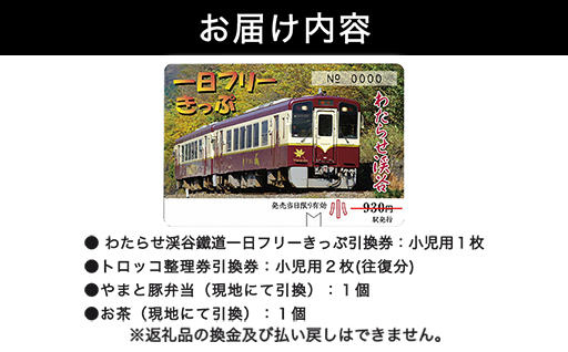 【49】わたらせ渓谷鐵道「トロッコ列車の旅セット」 ※こども１名用