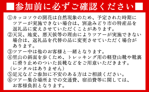 豁」遖丞ッコ縺ョ螟ゥ莠慕判縺ィ繧ォ繝繧ウ繧ス繧ヲ繧定ィェ縺ュ縺ヲ