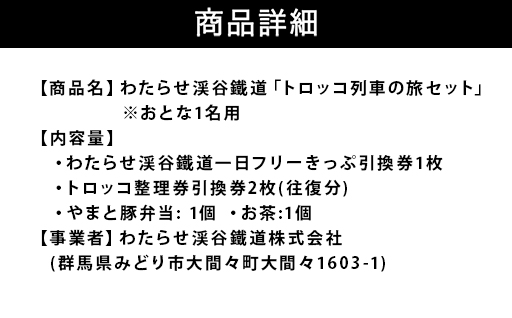 【73】わたらせ渓谷鐵道「トロッコ列車の旅セット」 ※おとな１名用