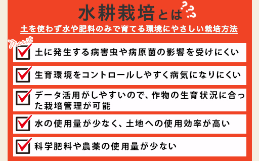 【11】ミニトマト2kg箱【10月以降順次発送】