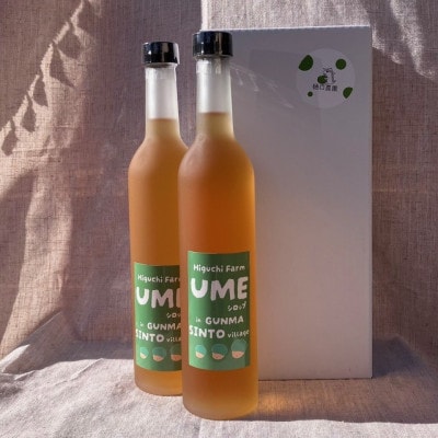 梅シロップ 510ml×2本【1705093】