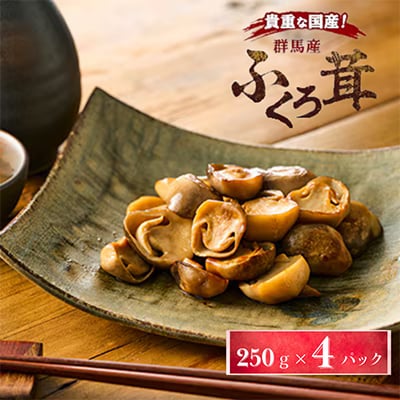 貴重な国産ふくろ茸　袋茸　フクロタケ【冷凍真空パック】丸いもの2パックと開いたもの2パック【配送不可地域：離島】【1247918】