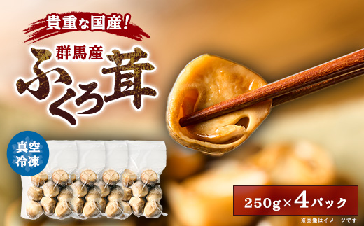 貴重な国産ふくろ茸　袋茸　フクロタケ【冷凍真空パック】丸いもの4パック【配送不可地域：離島】【1241397】