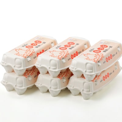 岩田のおいしい卵　実用中玉55個+破卵保障5個 (10個入り×6パック)【配送不可地域：離島】【1081154】