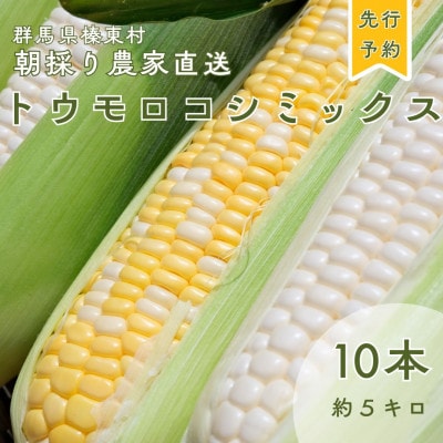 トウモロコシ(ゴールドラッシュ 白いおおもの ドルチェドリーム)合計10本 ミックス【配送不可地域：離島】【1717445】