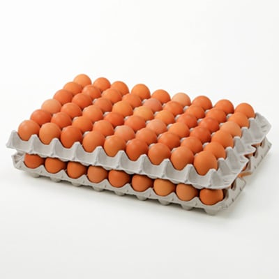 岩田のおいしい卵　小玉98個+破卵保障10個入り【配送不可地域：離島】【1092662】