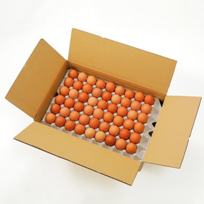 岩田のおいしい卵　小玉98個+破卵保障10個入り【配送不可地域：離島】【1092662】