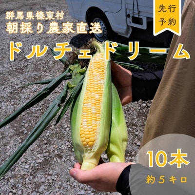 トウモロコシ　ドルチェドリーム　10本【配送不可地域：離島】【1717449】