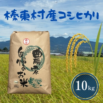 【令和8年度産】お米コシヒカリ(精米) 10kg【ストロベリーみなみ】【1691178】