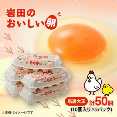 【毎月定期便】岩田のおいしい卵厳選大玉45個+破卵保障5個 (10個入り×5パック)全3回【配送不可地域：離島】【4079452】