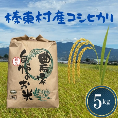 【令和8年産】お米コシヒカリ(精米) 5kg【ストロベリーみなみ】【1691177】