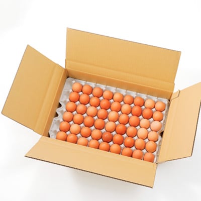 岩田のおいしい卵　小玉49個+破卵保障5個入り【配送不可地域：離島】【1077545】