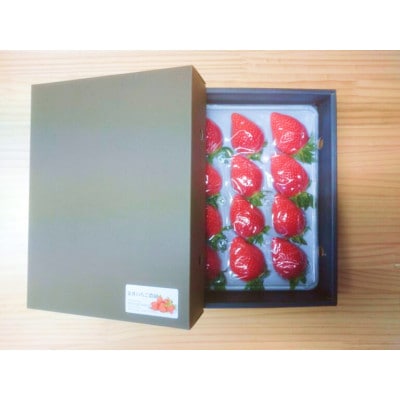 金井いちご農園　贈答用いちご　1パック【配送不可地域：離島・北海道・沖縄県・中国・四国・九州】【1691425】