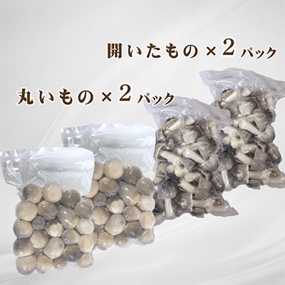 貴重な国産ふくろ茸　袋茸　フクロタケ【冷凍真空パック】丸いもの2パックと開いたもの2パック【配送不可地域：離島】【1247918】