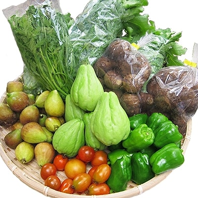 八州高原マルシェ自慢の旬な野菜たち【配送不可地域：離島】【1039760】