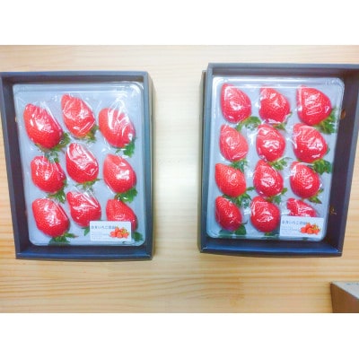 éäºãã¡ã蟲åãèŽççšãã¡ãã2ããã¯ãé
éäžå¯å°åïŒé¢å³¶ã»åæµ·éã»æ²çžçã»äžåœã»ååœã»ä¹å·ãã1691420ã