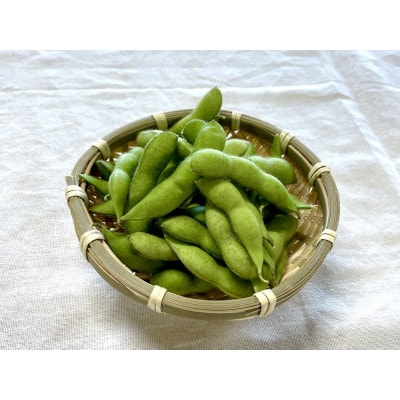 【2026年発送】枝豆(初だるま) 8袋入り 計2kg【ストロベリーみなみ】【配送不可地域：離島】【1691180】