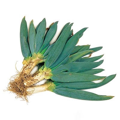 食べてみ殿様ネギ3.5kg〜4kg【1059540】