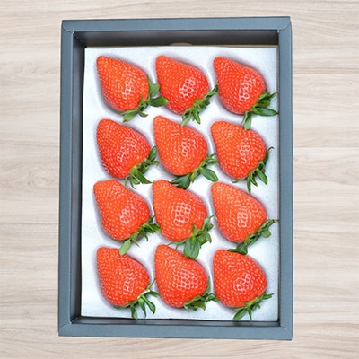 繧ケ繝医Ο繝吶Μ繝シ縺ソ縺ェ縺ソ 縺薙□繧上j 縲弱>縺。縺斐2邂ア縲宣埼∽ク榊庄蝨ー蝓滂シ夐屬蟲カ縲代1053105縲