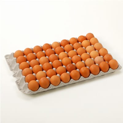 岩田のおいしい卵　小玉49個+破卵保障5個入り【配送不可地域：離島】【1077545】