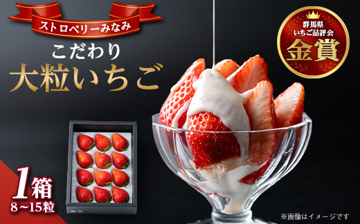 ストロベリーみなみ こだわり　『いちご』1箱【配送不可地域：離島】【1052499】