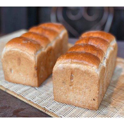 胡桃食パンの2本4斤セット【配送不可地域：離島】【1215664】