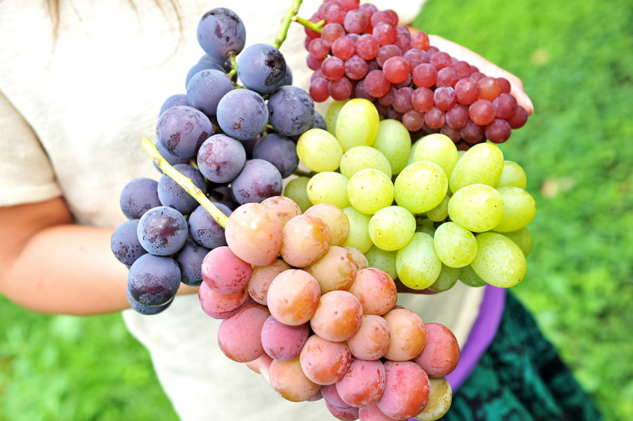 （３）産業の振興及び魅力ある観光地づくりに関する事業