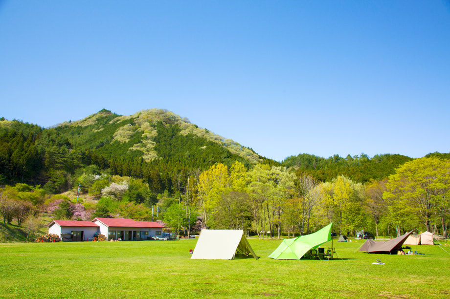 （１）自然環境の保全に関する事業