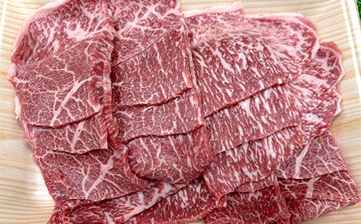 海外で選ばれる上州和牛セット プロが肉市場で厳選！ A5レベルの上州和牛セット（部位:みすじ・さんかく・切り落とし） 1.4kg以上 牛 牛肉 ビーフ 肉 食品 F21K-446