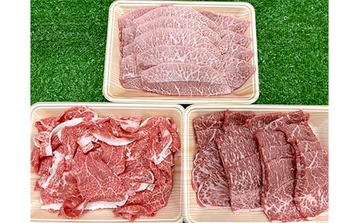 海外で選ばれる上州和牛セット プロが肉市場で厳選！ A5レベルの上州和牛セット（部位:みすじ・さんかく・切り落とし） 2.8kg以上 牛 牛肉 ビーフ 肉 食品 F21K-447