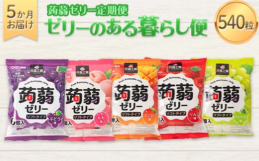 5か月連続お届け蒟蒻ゼリー定期便　540粒　ゼリーのある暮らしセット F21K-480