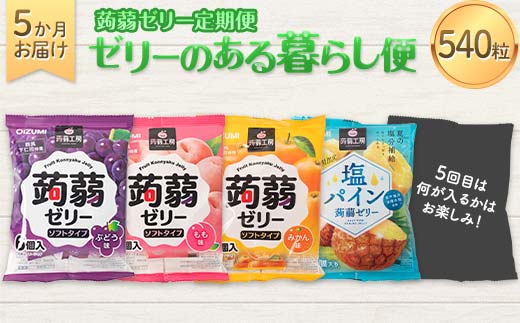 5か月連続お届け蒟蒻ゼリー定期便　540粒　ゼリーのある暮らしセット F21K-482
