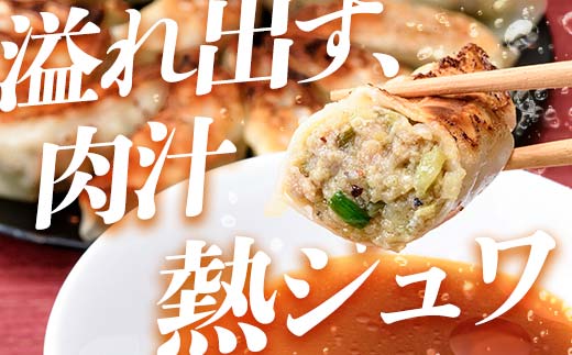 「下仁田名産シリーズ」 下仁田ポーク肉餃子 45個（15個×3袋） 餃子 ぎょうざ ギョーザ 中華 冷凍餃子 おかず おつまみ 惣菜 マツコの知らない世界 F21K-487
