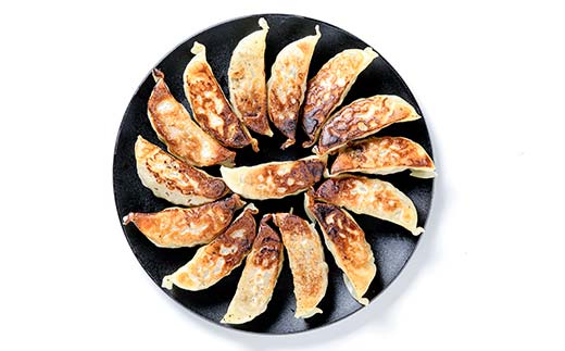 「下仁田名産シリーズ」 下仁田ポーク肉餃子 45個（15個×3袋） 餃子 ぎょうざ ギョーザ 中華 冷凍餃子 おかず おつまみ 惣菜 マツコの知らない世界 F21K-487