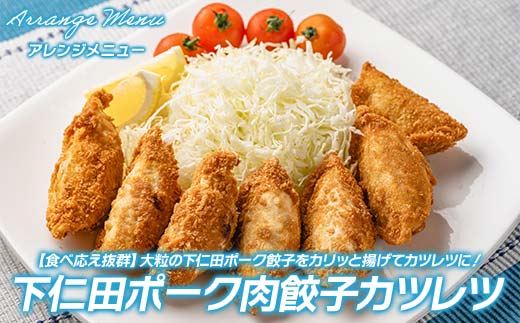 「下仁田名産シリーズ」 下仁田ポーク肉餃子 45個（15個×3袋） 餃子 ぎょうざ ギョーザ 中華 冷凍餃子 おかず おつまみ 惣菜 マツコの知らない世界 F21K-487