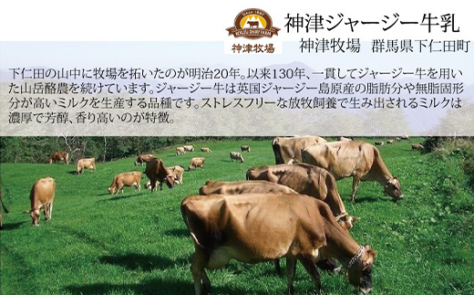 バニラ＆大和屋コーヒー詰め合わせ 4個入（バニラ 2個・大和屋コーヒー 2個） セレンディップ 手土産 おやつ デザート スイーツ こだわり 話題 バニラ コーヒー F21K-501