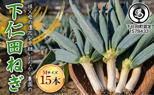 【伝統野菜】祖父母の遺志を受継いだ ながい農園の下仁田ねぎ (Mサイズ15本) 群馬県 下仁田町産 家庭用 鍋 すき焼き F21K-555