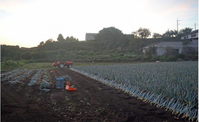 äžä»ç°è±ã®äŒã®äžä»ç°è±ïŒLãµã€ãºïŒãšããã çã ãã® çæ§ ãã æ®¿æ§ãã ç¹ç£ æ é€ãã£ã·ã ãã©ã³ã äžå·ãã ãããã F21K-588