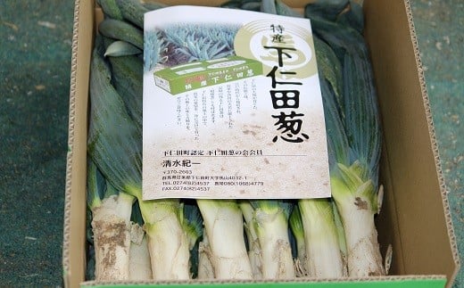 äžä»ç°è±ã®äŒã®äžä»ç°è±ïŒLãµã€ãºïŒãšããã çã ãã® çæ§ ãã æ®¿æ§ãã ç¹ç£ æ é€ãã£ã·ã ãã©ã³ã äžå·ãã ãããã F21K-588