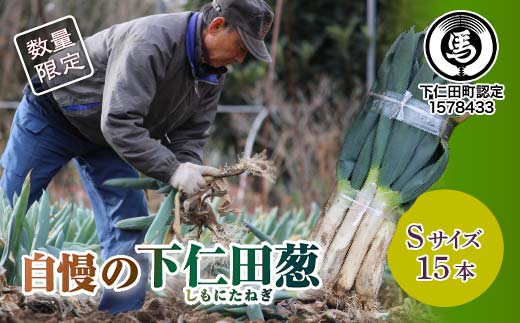 自慢の下仁田葱（S 15本） とろける 甘い ねぎ ネギ 王様ねぎ 殿様ねぎ 特産 栄養たっぷり ブランド 上州ねぎ すきやき F21K-660