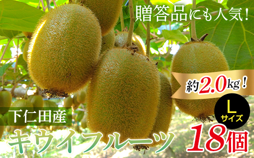 ＜先行予約＞【3年連続受賞】「A品数量限定」下仁田町産キウイフルーツ約2.0kg（1玉Lサイズ115g以上） キウイ フルーツ キウイ デザート 果物 贈答品としても人気！ F21K-729