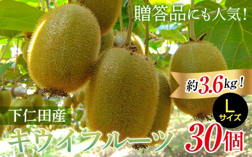 2年連続受賞「A品数量限定」下仁田町のキウイフルーツ 約3.6kg(1玉 Lサイズ 115g以上) キウイ フルーツ キウイフルーツ デザート 果物 贈答品としても人気！ F21K-448