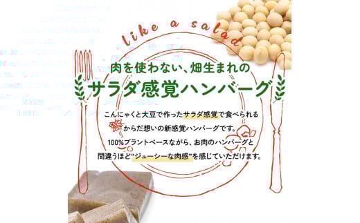 【原料は100％植物由来】こんにゃくと大豆で作ったサラダバーグ90g×10個 ダイエット こんにゃく 蒟蒻 大豆 おから 食物繊維 美肌 糖質制限 ローカロリー 糖質カット 100％プラントベース (ビーガン対応) F21K-161