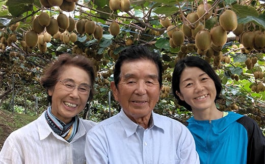 2年連続受賞「A品数量限定」下仁田町のキウイフルーツ 約3.6kg(1玉 Lサイズ 115g以上) キウイ フルーツ キウイフルーツ デザート 果物 贈答品としても人気！ F21K-448