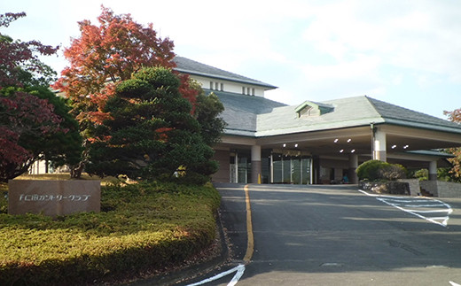 äžä»ç°ã«ã³ããªãŒã¯ã©ãã§äœ¿ãããŽã«ãå©çšåžïŒ60,000åçžåœïŒãã±ãã äœéš ã¹ããŒã ãŽã«ãåž çŸ€éŠ¬ F21K-207